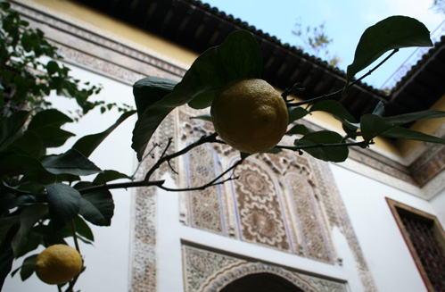 les chambres du riad el ma